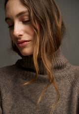 Aster-Brown-354-LOW